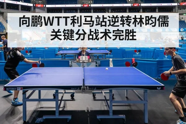 向鹏WTT利马站逆转林昀儒 关键分战术完胜