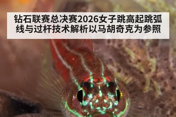 钻石联赛总决赛2026女子跳高起跳弧线与过杆技术解析以马胡奇克为参照